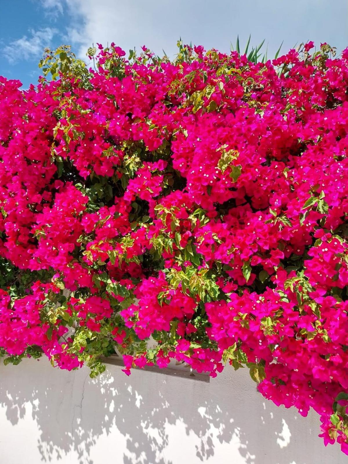 Villa El Salam Campo Mijas Fuengirola Luaran gambar